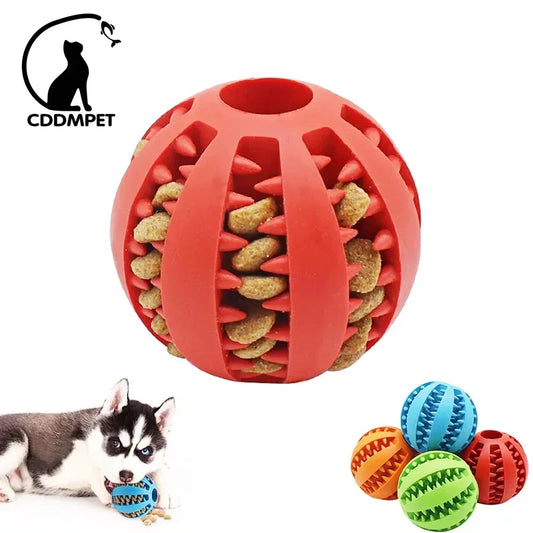 PawPlay Interactive Chew Ball: Rubber Toy for Small Dogs & Puppies